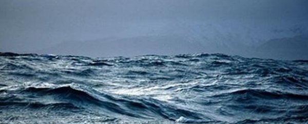 一种基于漂浮平台的翘尾式波浪能发电装置